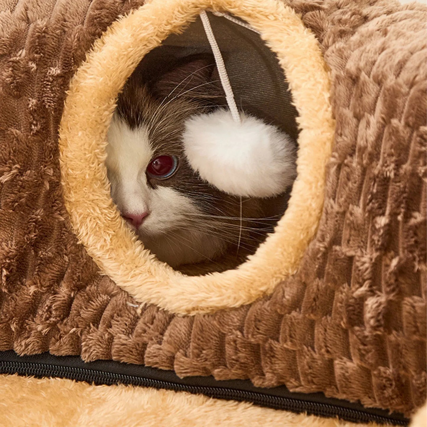 Cat Tunnel Rug Cat Activity Center Playing Ball Toys Cat Tunnel Bed Cat Carpet Tunnel for Outdoor Bunny Small Animals Kitten