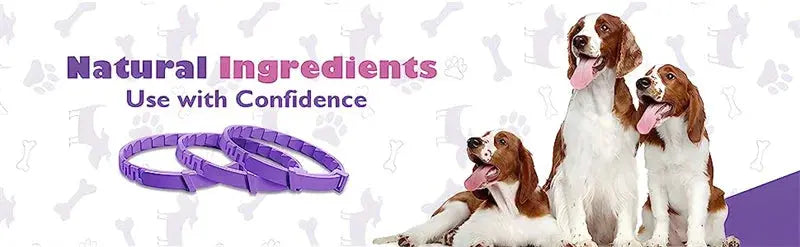 Calming Pheromone Collars for Dogs & Cats Zippmart