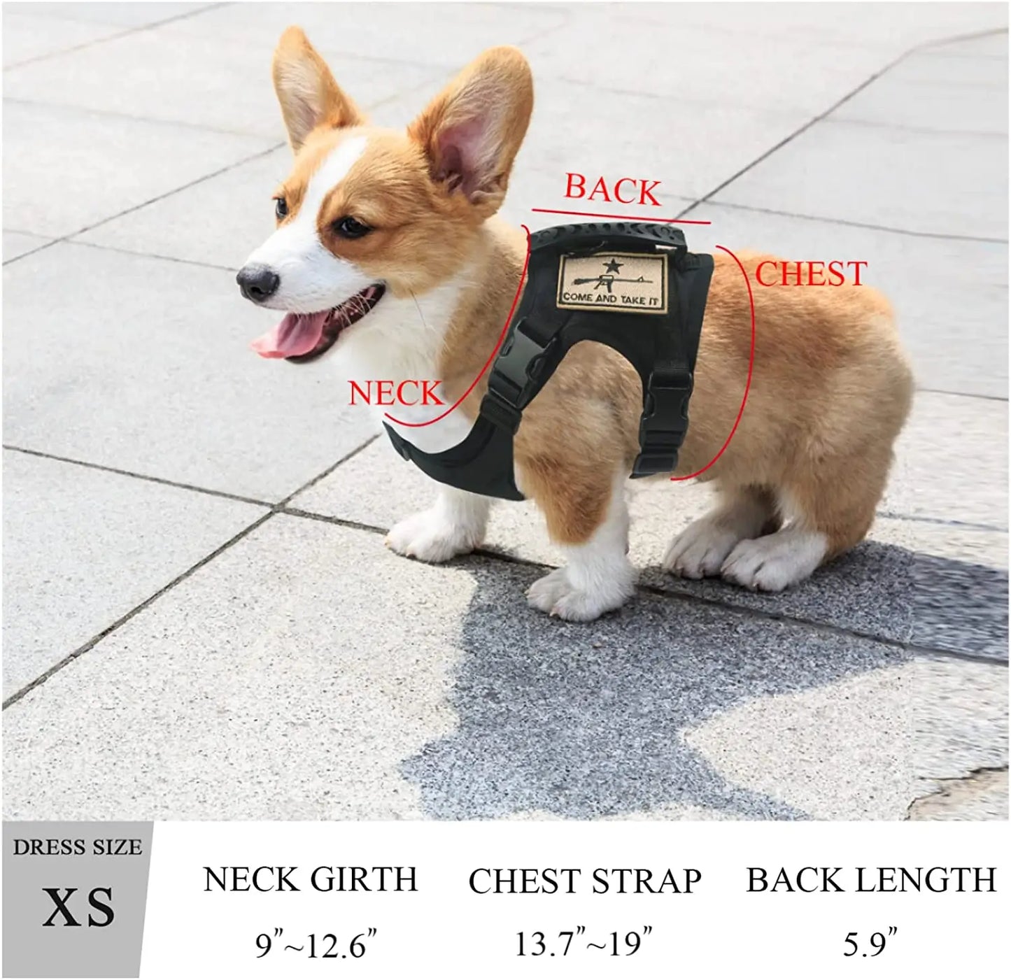 Cat Puppy Tactical Vest Training Harness Adjustable Military Outdoor Working Cat Harness  Dog Accessories for Small Dogs