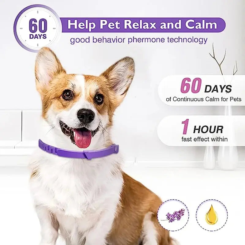 Calming Pheromone Collars for Dogs & Cats Zippmart