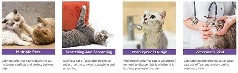 Calming Pheromone Collars for Dogs & Cats Zippmart