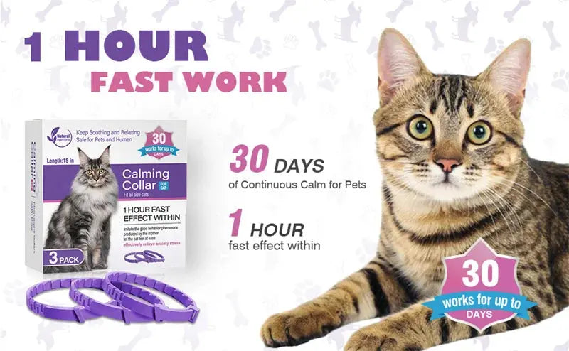 Calming Pheromone Collars for Dogs & Cats Zippmart