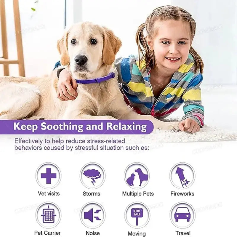 Calming Pheromone Collars for Dogs & Cats Zippmart