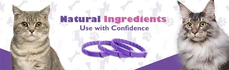 Calming Pheromone Collars for Dogs & Cats Zippmart