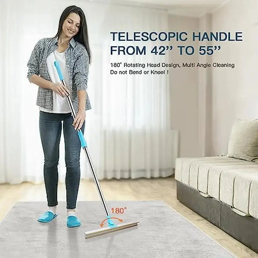 Telescopic Carpet Rake Pet Hair Remover Zippmart