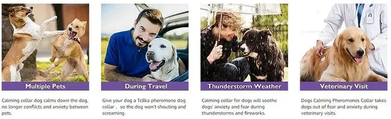 Calming Pheromone Collars for Dogs & Cats Zippmart