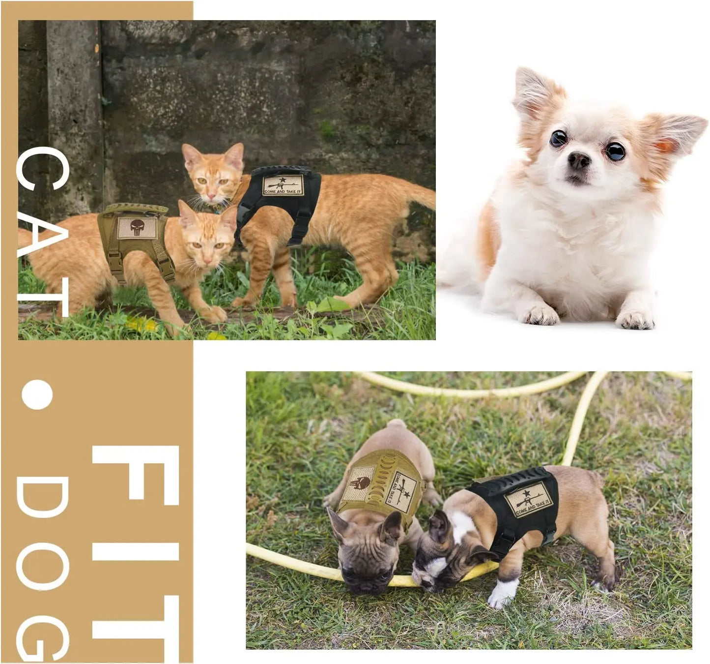 Cat Puppy Tactical Vest Training Harness Adjustable Military Outdoor Working Cat Harness  Dog Accessories for Small Dogs