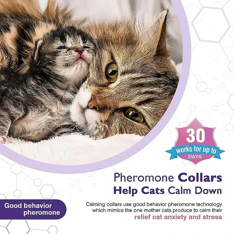 Calming Pheromone Collars for Dogs & Cats Zippmart
