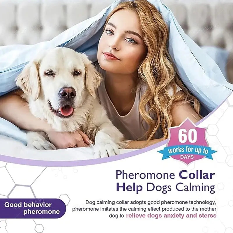 Calming Pheromone Collars for Dogs & Cats Zippmart