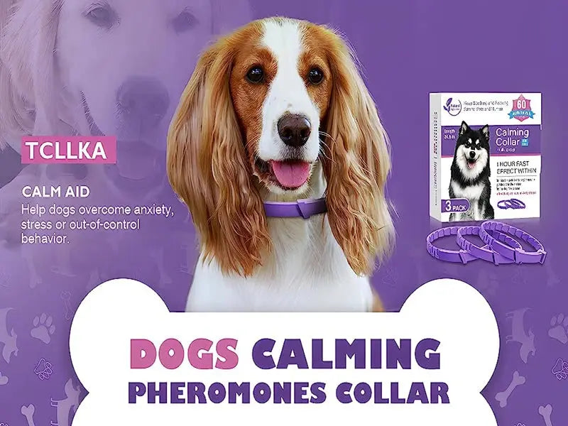 Calming Pheromone Collars for Dogs & Cats Zippmart