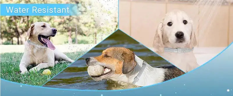 Calming Pheromone Collars for Dogs & Cats Zippmart