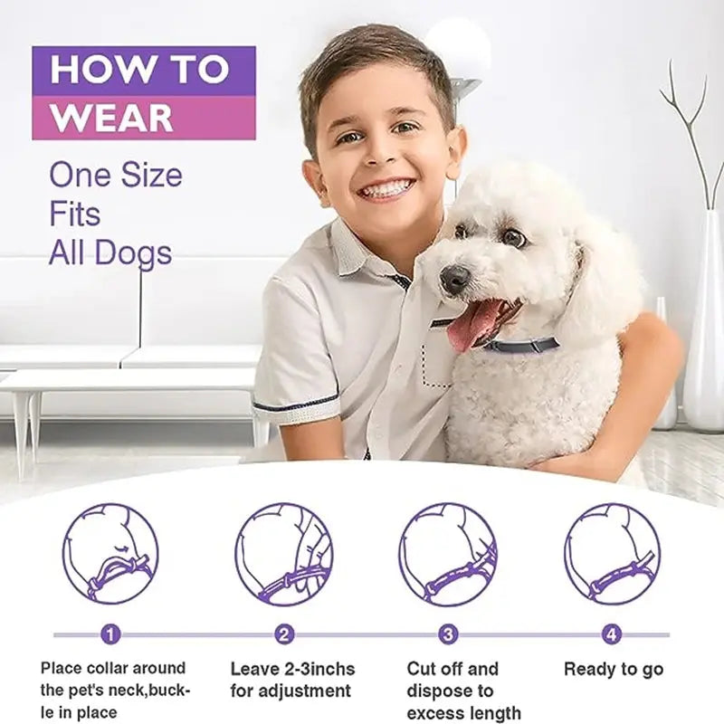 Calming Pheromone Collars for Dogs & Cats Zippmart