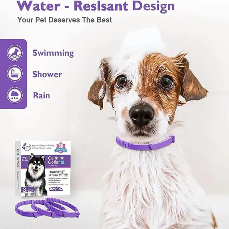 Calming Pheromone Collars for Dogs & Cats Zippmart