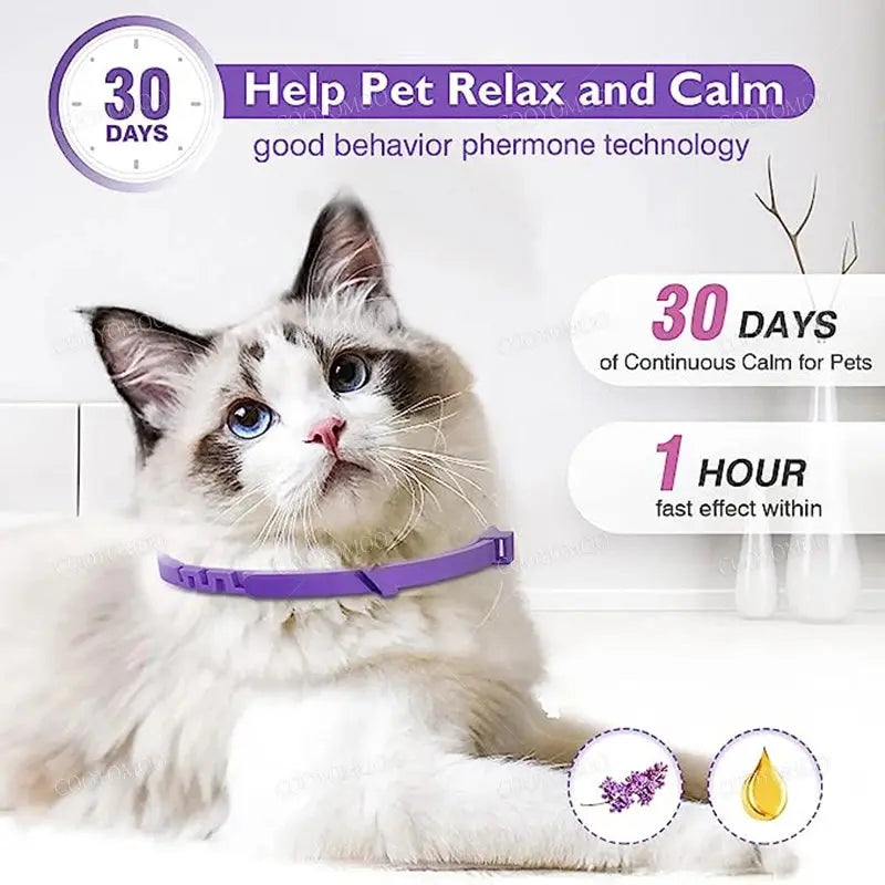 Calming Pheromone Collars for Dogs & Cats Zippmart